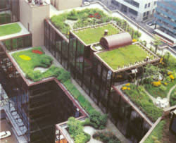Germany Green Roofs